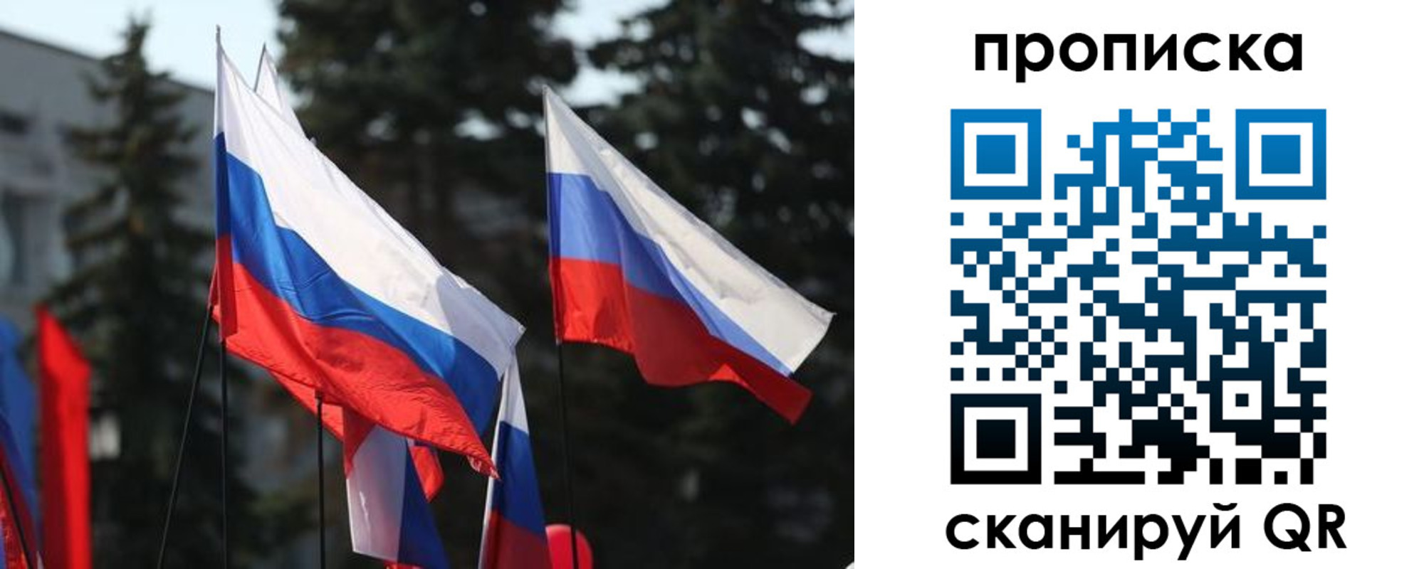 прописка законно в Кольчугино